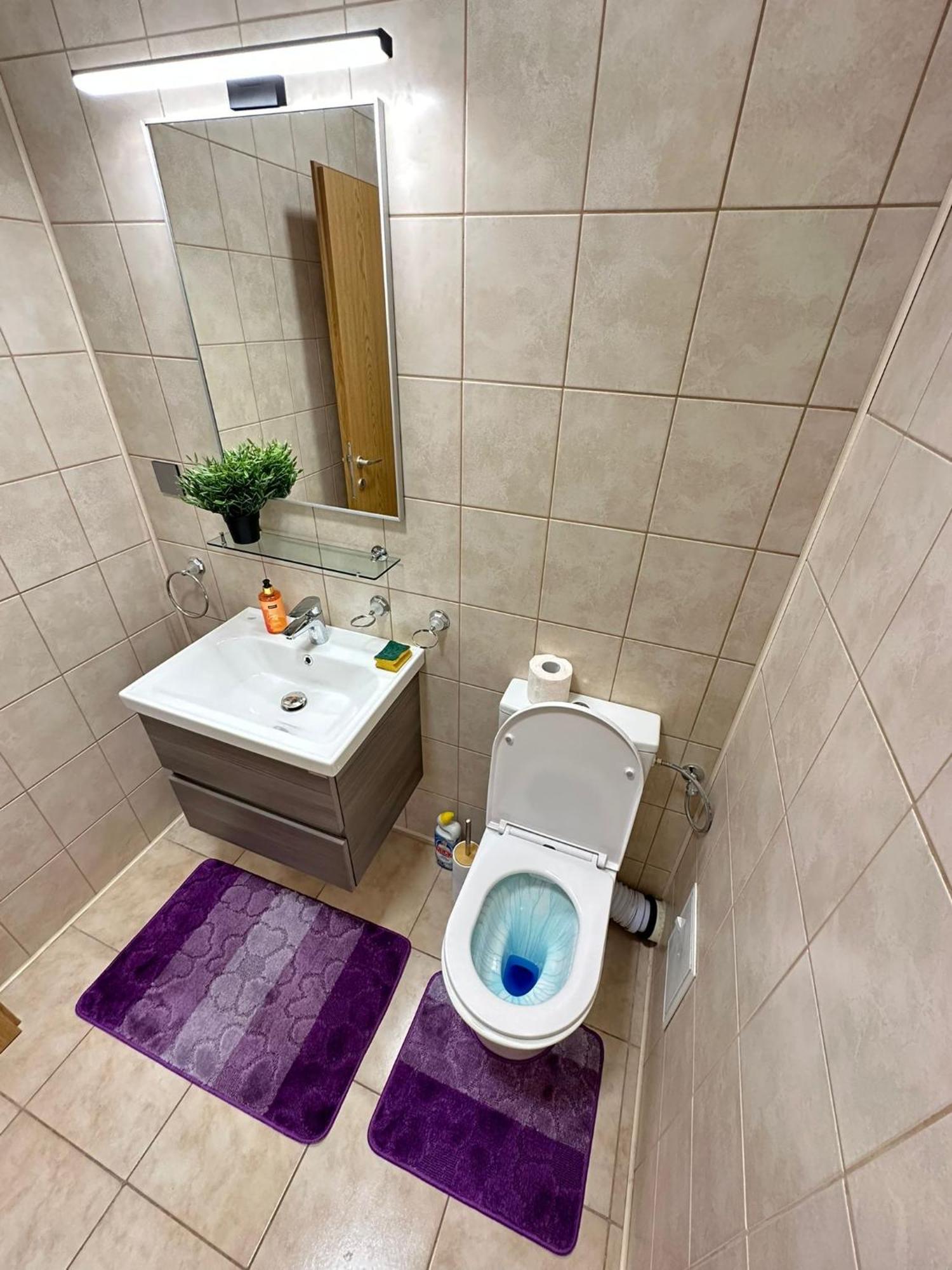 Centru Unirii Luxury Vip Palmier Apartament 2 Camere Cu Terasa Exterioara Amenajata ! Parcare Subterana Privata Climatizata Si Supravegheata Video Dar Doar Cu Rezervare In Limita Locurilor Disponibile !Proprietate In Regim Hoteliep - Nu Are Bucatarie Bucareste Exterior foto