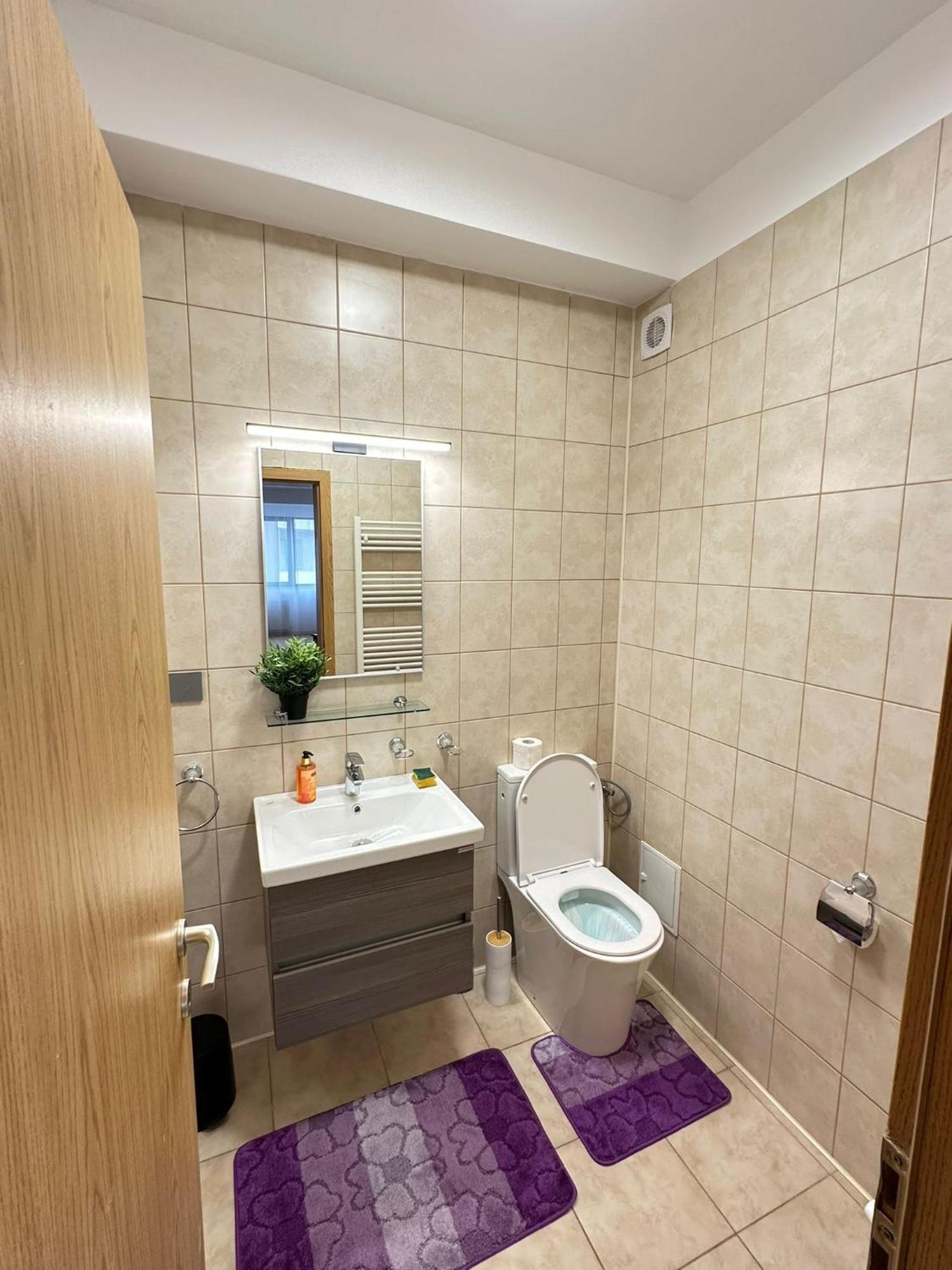 Centru Unirii Luxury Vip Palmier Apartament 2 Camere Cu Terasa Exterioara Amenajata ! Parcare Subterana Privata Climatizata Si Supravegheata Video Dar Doar Cu Rezervare In Limita Locurilor Disponibile !Proprietate In Regim Hoteliep - Nu Are Bucatarie Bucareste Exterior foto